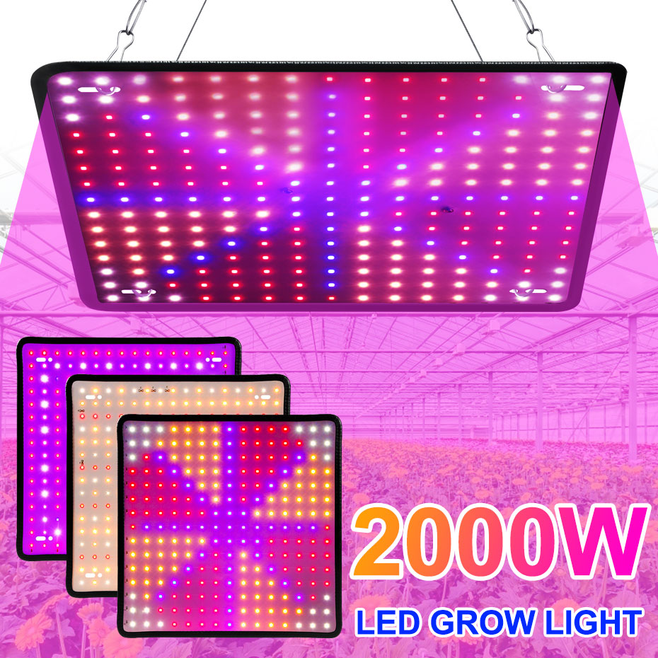 LED 성장 빛 전체 스펙트럼 패널 Phyto 램프 110V 220V 1000W/1500W/2000W 식물 성장 조명 꽃 씨앗에 대 한 미국/EU/UK 플러그